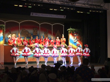 bkv-prunksitzung-2017_6341.jpg
